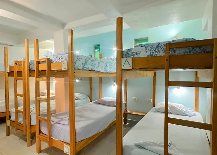 Hostel Samara Hostel *