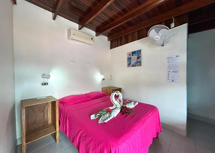 Hostel Samara Samara